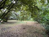 Satılır  torpaq 30 sot, photo 2 from 7