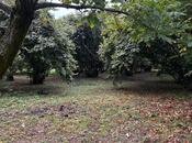 Satılır  torpaq 30 sot, photo 1 from 7