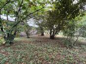 Satılır  torpaq 30 sot, photo 3 from 7