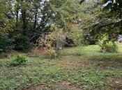 Satılır  torpaq 30 sot, photo 6 from 7