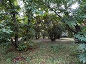 Satılır  torpaq 30 sot, photo 5 from 7