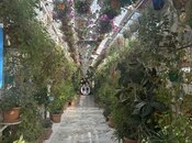 Сдаётся  объект 1 700 м², Низаминский  р., photo 7 from 8