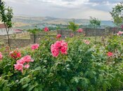 Продаётся 5-комн. дом/дача 250 м², photo 4 from 8