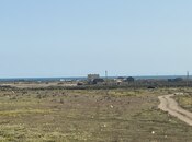 Satılır  torpaq 13 sot, Zirə q., photo 7 from 8