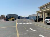 Объявление №5780435 - Баку, Гарадагский р., 5000 м²