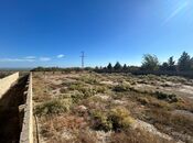 Продаётся  участок 50 сот, пос. Маштаги, photo 3 from 4