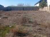 Продаётся  участок 12 сот, пос. Шувеляны, photo 8 from 8