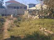 Satılır  torpaq 12 sot, Mərdəkan q., photo 3 from 5