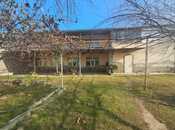 Elan №5781570 - Bakı, Mərdəkan q., 12 sot