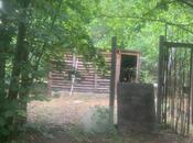 4 otaqlı həyət evi/bağ evi - Qəbələ - 130 m²