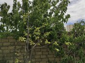 Продаётся  участок 3.5 сот, пос. Сарай, photo 4 from 8