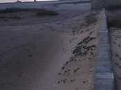 Satılır  torpaq 112 sot, Türkan q., photo 8 from 8