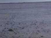 Satılır  torpaq 112 sot, Türkan q., photo 5 from 8