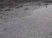 Satılır  torpaq 112 sot, Türkan q., photo 6 from 8