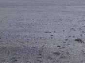 Satılır  torpaq 112 sot, Türkan q., photo 7 from 8