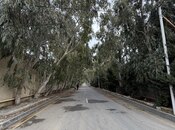 Продаётся  участок 8 сот, пос. Шувеляны, photo 5 from 8