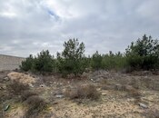 Продаётся  участок 8 сот, пос. Шувеляны, photo 3 from 8