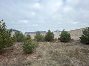 Объявление №5785389 - Баку, пос. Шувеляны, 8 сот