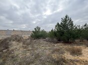 Продаётся  участок 8 сот, пос. Шувеляны, photo 6 from 8