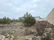 Продаётся  участок 8 сот, пос. Шувеляны, photo 8 from 8