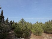 Satılır  torpaq 16 sot, Şüvəlan q., photo 4 from 8