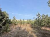 Elan №5785400 - Bakı, Şüvəlan q., 16 sot