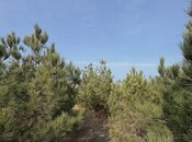 Satılır  torpaq 16 sot, Şüvəlan q., photo 5 from 8