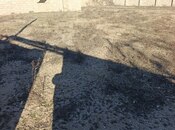 Продаётся  участок 8 сот, пос. Зире, photo 2 from 5