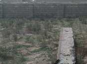 Продаётся  участок 2.4 сот, пос. Бадамдар, photo 4 from 5