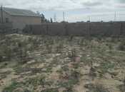 Продаётся  участок 2.4 сот, пос. Бадамдар, photo 5 from 5