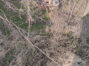 Продаётся  участок 6 сот, пос. Новханы, photo 6 from 6