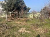 Elan №5786607 - Bakı, Görədil q., 3 sot