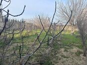 Satılır  torpaq 3 sot, Görədil q., photo 7 from 8