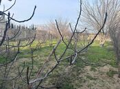 Satılır  torpaq 3 sot, Görədil q., photo 5 from 8