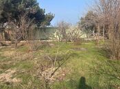 Satılır  torpaq 3 sot, Görədil q., photo 6 from 8