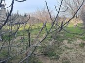 Продаётся  участок 4 сот, пос. Горадил, photo 5 from 8