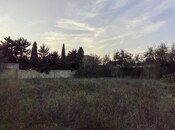 Satılır  torpaq 4.4 sot, Albalılıq q., photo 2 from 4