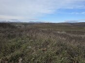 Satılır  torpaq 140 sot, photo 2 from 7