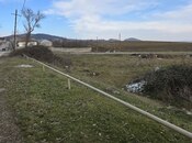 Elan №5788337 - Şamaxı, Şamaxı, 24 sot