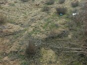 Объявление №5789025 - Баку, пос. Зире, 6 сот