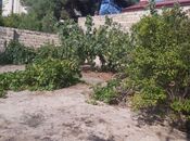 Satılır 4 otaqlı həyət evi/bağ evi 120 m², Novxanı q., photo 7 from 8