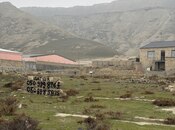 Elan №5790545 - Bakı, Hökməli q., 8 sot