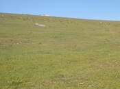 Объявление №5790896 - Баку, пос. Мехтиабад, 240 сот