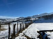 Продаётся  участок 20 сот, photo 8 from 8