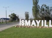 Satılır  torpaq 400 sot, photo 1 from 8