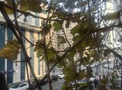 Сдаётся 2-комн. вторичка 90 м², м. 28 мая, photo 6 from 8