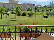 Объявление №5794606 - Баку, м. Низами, 5-комн., 195 м²