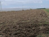 Elan №5796172 - Şəmkir, Şəmkir, 136 sot