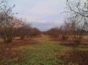 Продаётся  участок 600 сот, photo 5 from 8