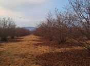 Продаётся  участок 600 сот, photo 7 from 8